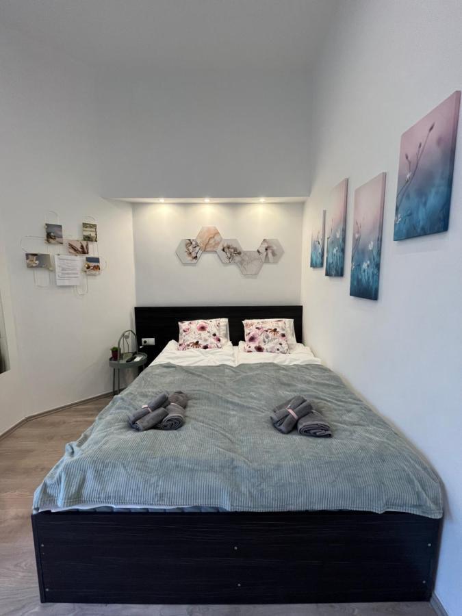 בודפשט D58 Apartments In The City Center מראה חיצוני תמונה