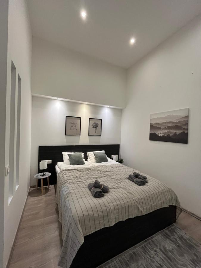 בודפשט D58 Apartments In The City Center מראה חיצוני תמונה